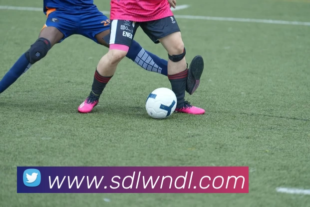 九游体育APP 封面图